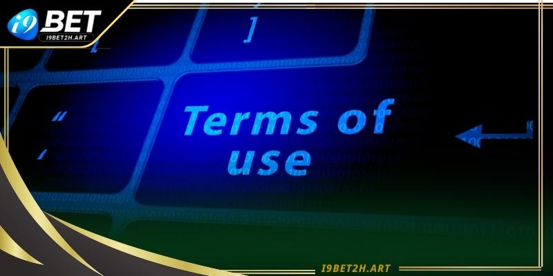 Điều khoản sử dụng về giới hạn trách nhiệm, cơ chế cập nhật và nguyên tắc xử lý tranh chấp